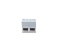 DEXLAN Plastron 45X45 incline 30° 2 ports RJ45 cat 6 stp G