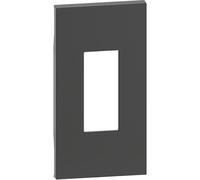 Plastron de finition Living Now pour prise RJ45 2 modules - noir (BTKG07M2)