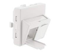 plastron incliné - 2 ports - 45 x 45 - avec volet - sans connecteur - gigamédia pl45id