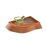 Plat à eau pour tortue - Bol d'alimentation 27 x 19,5 x 3 cm, plateau durable en ABS pour reptiles, bol à eau antidérapant pour tortue avec un design peu profond pour boire et se baigner en toute sécu