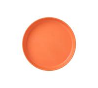 Plat à macarons en forme d'os pour ménage - Assiette à goûter en plastique pour table à manger - Pour plaques de cuisson (orange, taille unique)