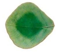 Plat à Tremper Feuille 11x10,3 cm Riviera x 6 Costa Nova