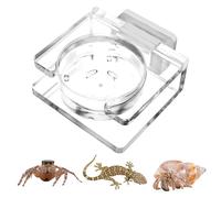 Plat d'alimentation des araignées sauter - plateau de nourriture magnétique, bol à insectes acrylique | Accessoire d'alimentation en terrarium de plate-forme transparente, fournitures de boîtier de re