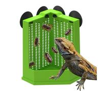 Plat d'alimentation des reptiles - Bol de gecko à aspiration anti-Escape, assiette de terrarium sécurisé | Nourtisseur de dragon barbu lézard Food Not-Spill pour animaux de compagnie pour les accessoi