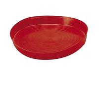 Plat d'alimentation en plastique pour poussins en 1ère phase de vie
