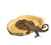Plat d'alimentation en, Plats d'alimentation des s - Simulation Bowl pour Animaux de Compagnie | Fondage de caméléon drôle, Funny Pet Supplies for Barbe Dragon, Lézards