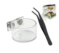 Plat d'alimentation pour araignée sauteuse - Bol d'eau magnétique | Ensemble de plats d'alimentation en forme d'araignée sauteuse, pour petits reptiles, mantes, tarentules, Cage, maison, jeu et décora