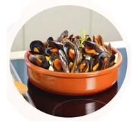 Plat de cuisson Classic en pâte à feu - D 40 cm