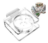 Plat d'eau De L'araignée - 1,77 X 0,78 Pouce De Nourriture Magnétique Magnétique, Dishh d'eau De Reptile, Mangeoires D'araignées Sautantes en Acrylique pour Reptiles en Acrylique Sauter D'araignée