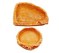 Plat pour reptiles, bol d'eau pour crabe ermite,2 plats d'eau alimentaire en résine pour reptiles-Bols d'eau pour reptiles, plat d'alimentation pour escargot, dragon barbu, grenouille, crabe ermite,