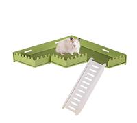 Plate-forme de hamster avec échelle,Gymnase de jeu en PVC sûre avec échelle - Cage Toys Accessoires décoratifs pour écureuils, hamsters, écureuils, gerbilles, perroquets, hérissons