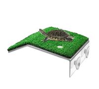 Plate-forme pour prendre le soleil avec : zone du quai de l'aquarium, scène pour | endroit pour prendre le soleil facilement accessible, tritons, grenouilles, animaux amphibiens, Pr