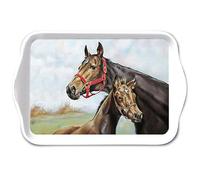 Plateau 13 x 21 cm en mélamine avec motif chevaux - pour décorer et servir - Petit plateau de service pour café, thé, petit-déjeuner - Décoration de table pour la ferme, animaux, équitation, plateau