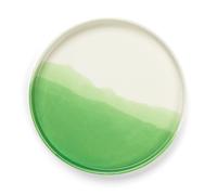 Plateau à Chevrons Vert
