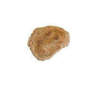 Plateau à découper en bois beige, carré, épaisseur 3 cm - Chehoma, Pétrifié - 30x30x3 cm