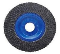 Bosch Accessories 2608607368 X551 Disque segmenté Diamètre 125 mm Ø de perçage 22.33 mm Grain 120 acier 1 pc(s)