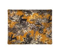 Plateau Acrylique 37 X 28 cm Gaia - Chamois