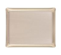 Plateau Acrylique 37 X 28 cm Secret argent