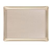 Plateau Acrylique 46 X 36 cm Secret argent