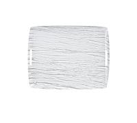 Plateau Acrylique 54 X 43 cm avec anses intérieures Givré