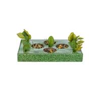 Plateau apéritif Trixie Vert Carton 28 x 3,8 x 18 cm