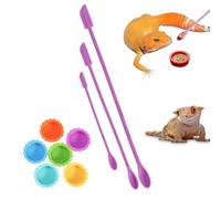 Plateau d'alimentation en silicone souple de qualité alimentaire, base | Gamelle à eau pour hermite, crabe, 9 pièces, petit lézard à crête, serpent, tortue, grenouille, ermite, crabe, escargot