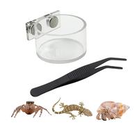 Plateau d'alimentation pour araignées sauteuses | Kit de récipient pour nourriture | Comprend des pinces et une décoration pour terrarium | pour Mantis Ermite, lézard, serpent et terrariums pour