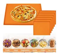 Plateau de cuisson antiadhésif en Silicone avec feuilles de déshydrateur de bord, tapis de déshydrateur pour Fruits, viande et légumes, accessoires de cuisine 4/6 pièces 4Pcs
