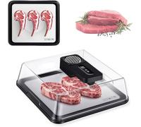 Plateau de décongélation de viande électrique rechargeable, planche de décongélation de viande portable de 4,2 L avec panneau LCD et couvercle visuel, boîte de décongélation de viande congelée(Black)