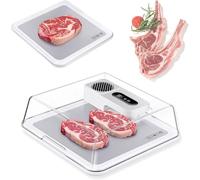Plateau de décongélation de viande électrique rechargeable, planche de décongélation de viande portable de 4,2 L avec panneau LCD et couvercle visuel, boîte de décongélation de viande congelée(White)