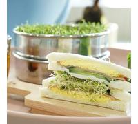 Plateau de germination en acier inoxydable 304 avec deux niveaux de drainage en maille et couvercle équilibrant l'humidité pour germination à 3 niveaux