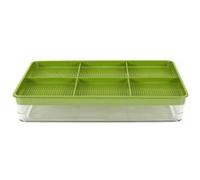 Plateau de Germination "Graines" 30cm Vert Vert G