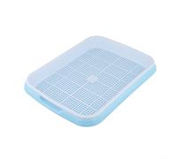 Plateau de germination peu encombrant pour cultiver divers grains et micropousses (bleu)