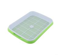 Plateau de germination peu encombrant pour cultiver divers grains et micropousses (vert)