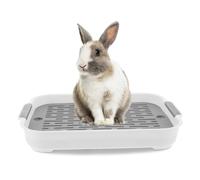 Plateau de litière pour Chats de Lapin, Toilette de Lapin de Toilette