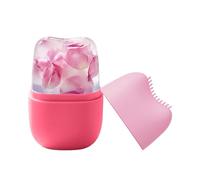 Plateau De Massage En Silicone Pour Le Visage - Rouleau De Refroidissement Réutilisable Pour Les Yeux Et Le Visage | Réduit Les Poches, Gonflement Des Pores, Soulagement Des Dommages Causés Par Le Sol