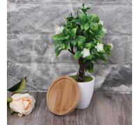 Plateau De Plantes En Bambou, Soucoupe Rectangulaire, Mini Pot De Fleurs, Support Pour Pot Succulent, Design Simple Et Élégant, Balcon De La Maison