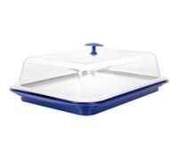 Assheuer Et Pott Plateau thermo réfrigérant inox 43 x 29 cm H 14 cm avec couvercle Bleu