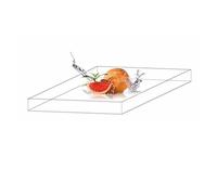 Plateau de Prise de Vue en Acrylique de 5 cm / 1,97 ", vitrine d'exposition, Accessoires Photo flottants, réservoir d'eau Claire et Peu Profonde, boîte de Rangement cosmétique Alimentaire Portable (C