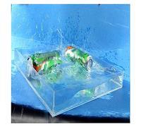 Plateau de prise de vue photo en acrylique tout-en-un, vitrine d'affichage, accessoires photo flottants, réservoir d'eau peu profond, boîte de rangement cosmétique alimentaire portable Hauteur 5 cm/1,