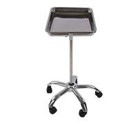 Plateau de Salon Relevable avec roulettes, Réglable en Métal en Acier Inoxydable, Mobile, pour Coiffeurs et Magasins Médicaux
