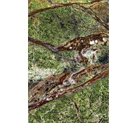 Bell Table d'appoint en marbre Green Guatemala ClassiCon - 4250682808722