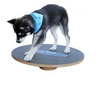 Plateau d'équilibre - FITPAWS - 50 cm - Antidérapant - Outil d'entraînement pour chien - Renforcement musculaire