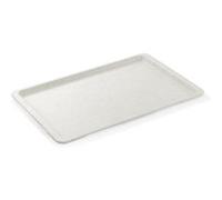 Plateau EN en Polyester blanc laiteux avec petits points L 530 mm l 370 mm Was Germany Blanc G