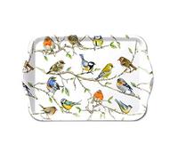 Plateau en mélamine pour réunion d'oiseaux, réunion, 13 x 21 cm, décoration d'intérieur, oiseaux, printemps, branches, mésange, rouge-gorge, été