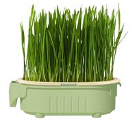 Plateau hydroponique pour herbe à chat d'intérieur | Jardinière hydroponique en forme d'éléphant pour herbe à chat - Arrosage sans fond, récipient creux pour collations originales pour animaux