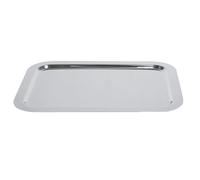 Plateau Inox Petit Modele 30,5 X 21,5 Cm