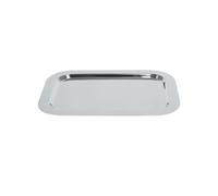 Plateau Inox Petit Modele 30,5 X 21,5 Cm