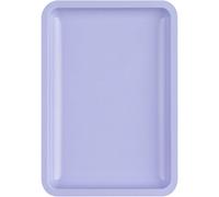 Plateau multifonction en acier inoxydable pour soins des ongles et brosses, plateau de rangement élégant pour faux ongles