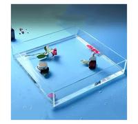 Plateau photo pour prise de vue dans un aquarium peu profond, accessoires photo transparents pour eau peu profonde, plateau décoratif, accessoires photo flottants, boîte de rangement de table (60 x 40